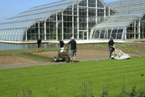 Laying turf outside Wisley Glass House