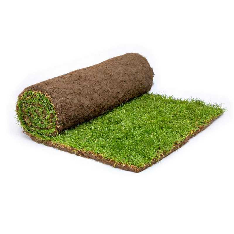 Rolawn Medallion Turf Roll